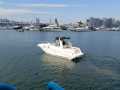 searay-in-kwuntong-hk