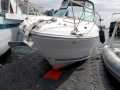 searay-on-floatingdock