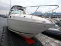 searay260-hk-floatingdock