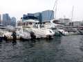 searay260-inkwuntong