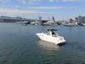 searay260-seatrial