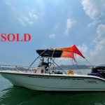 Boston Whaler 180