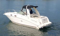 searay260