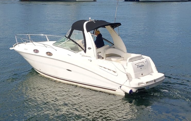 searay260