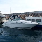 searay 260