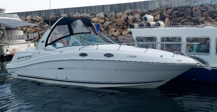 searay 260 for sale