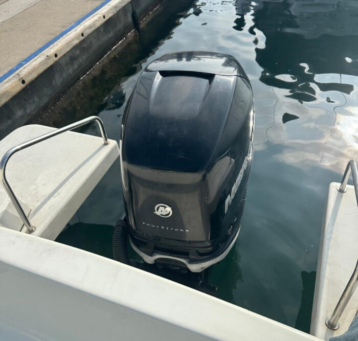 Starfisher 830 cruiser 5