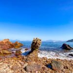 Devil's fist hong kong