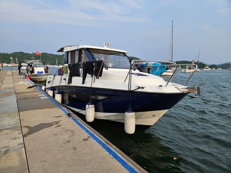quicksilver 855 hk