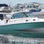 Everglades 350EX